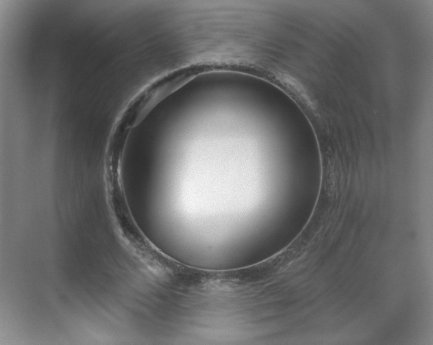 X0000071330680200606301601