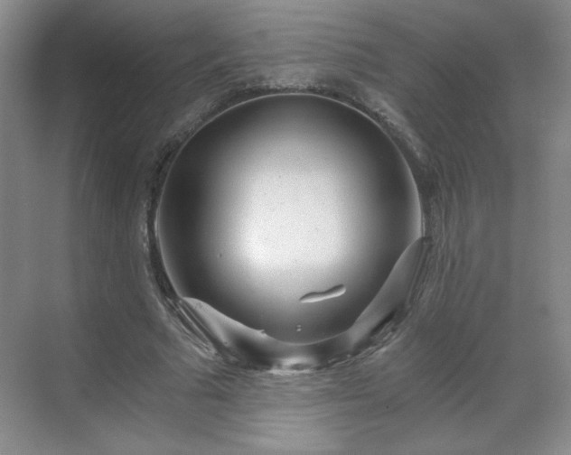 X0000071330681200606301601