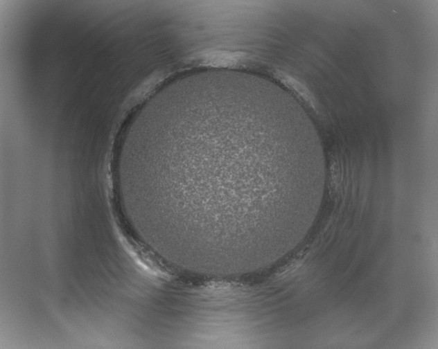 X0000071330682200606301601