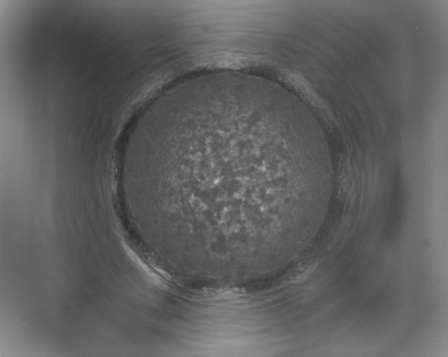 X0000071330683200606301601