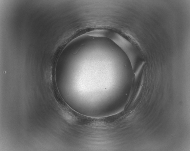 X0000071330685200606301601