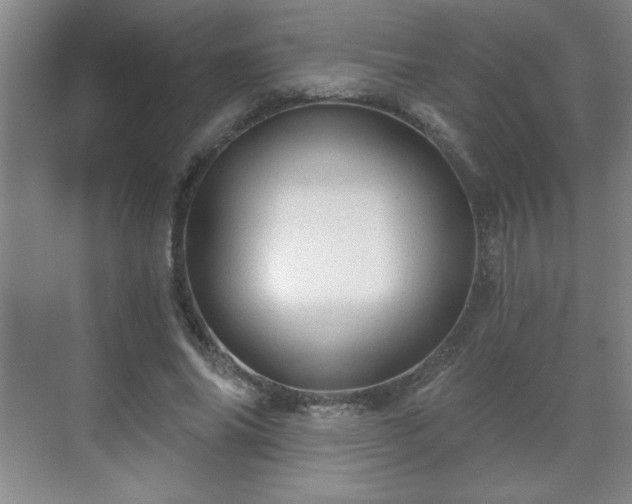 X0000071330686200606301601