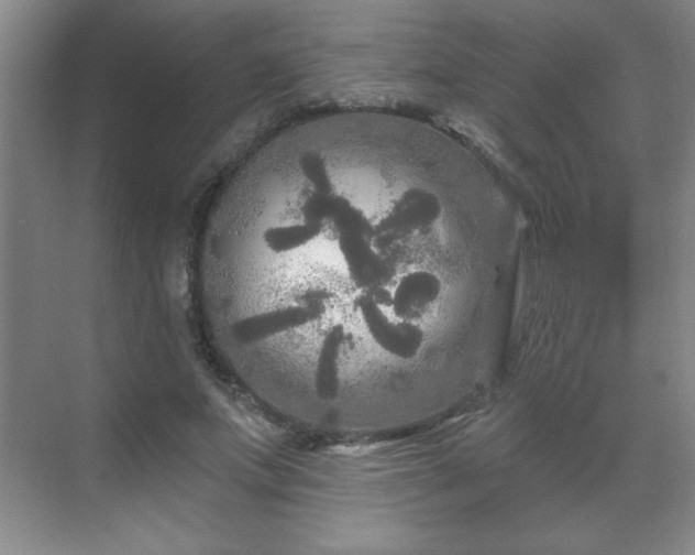 X0000071330687200606301601