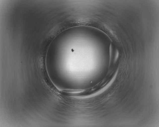 X0000071330689200606301601