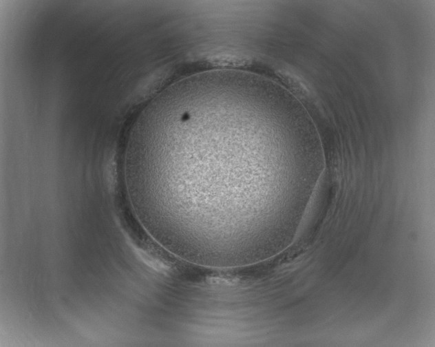 X0000071330690200606301601