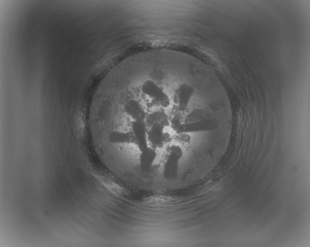 X0000071330691200606301601