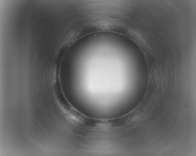 X0000071330694200606301601