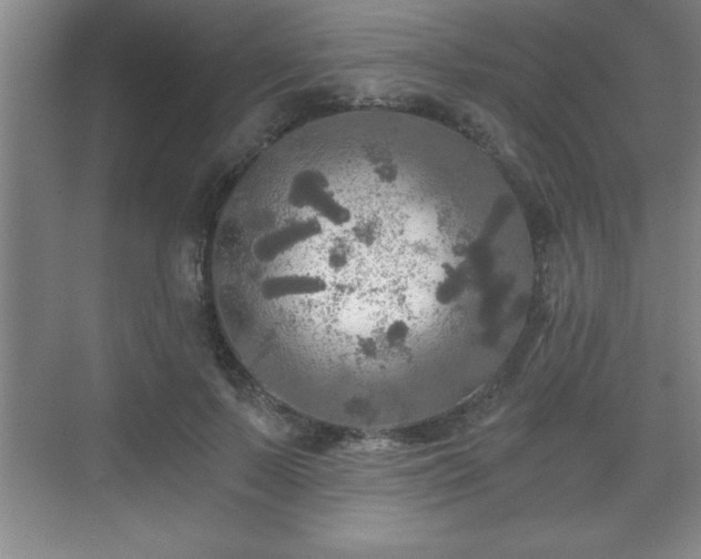 X0000071330695200606301601