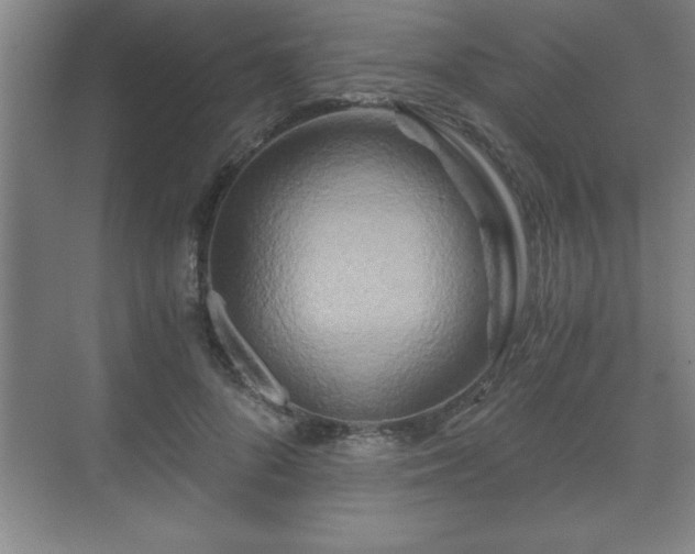 X0000071330696200606301601