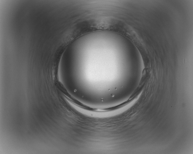 X0000071330697200606301601