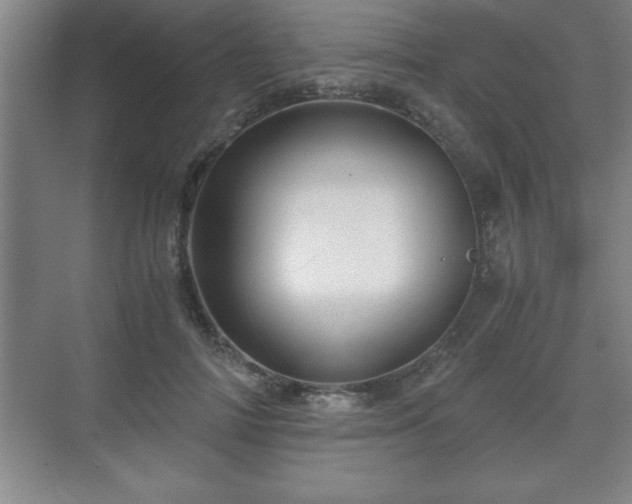 X0000071330698200606301601