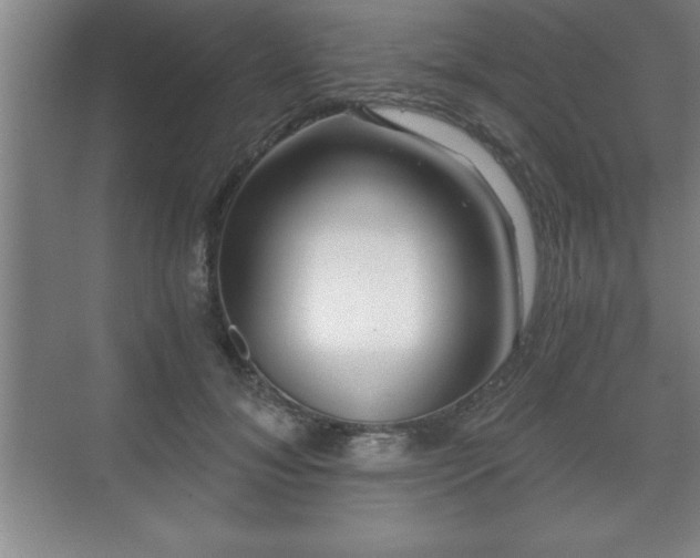 X0000071330700200606301601