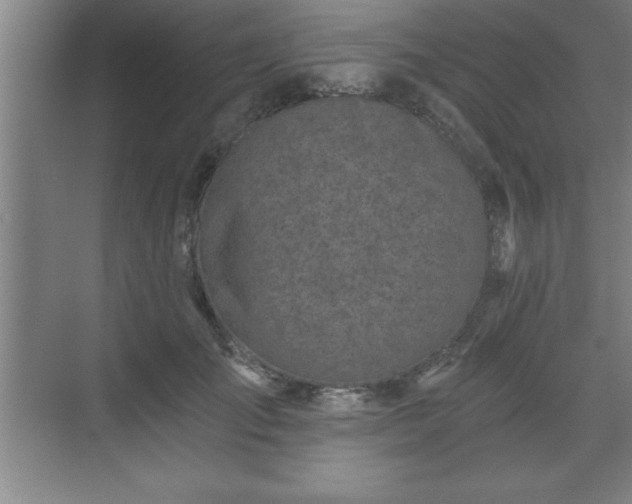 X0000071330701200606301601