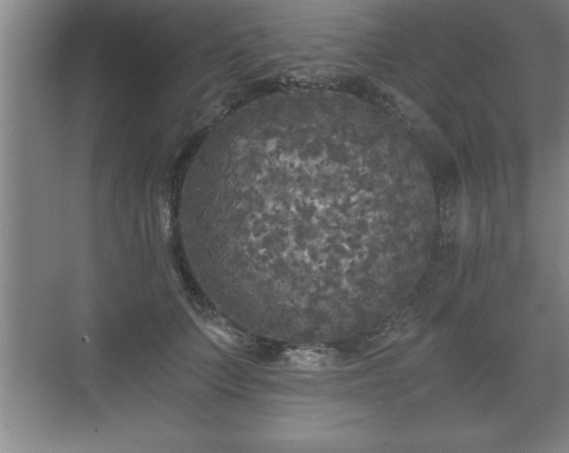 X0000071330703200606301601