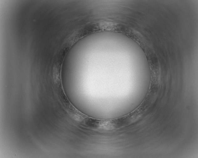 X0000071330705200606301601