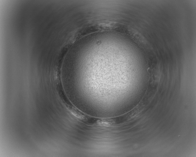 X0000071330706200606301601