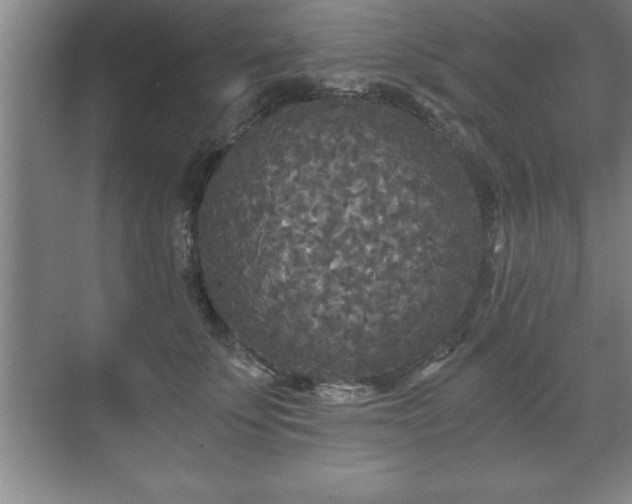 X0000071330707200606301601