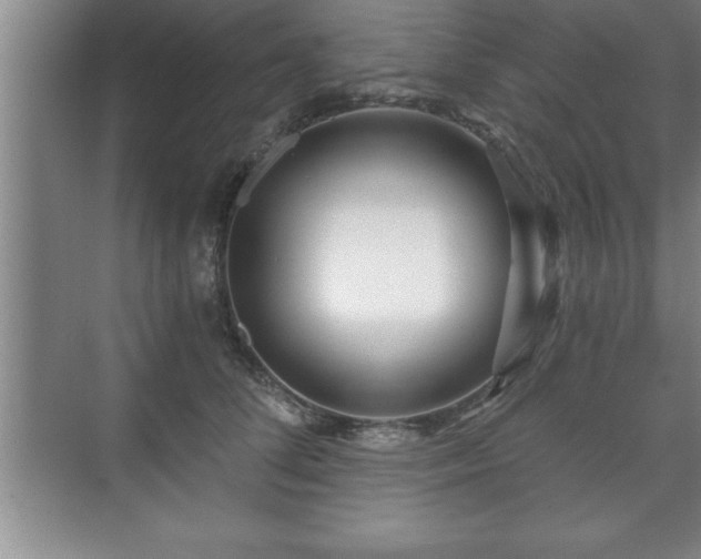 X0000071330708200606301601