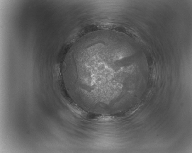 X0000071330711200606301601