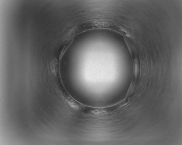 X0000071330712200606301601