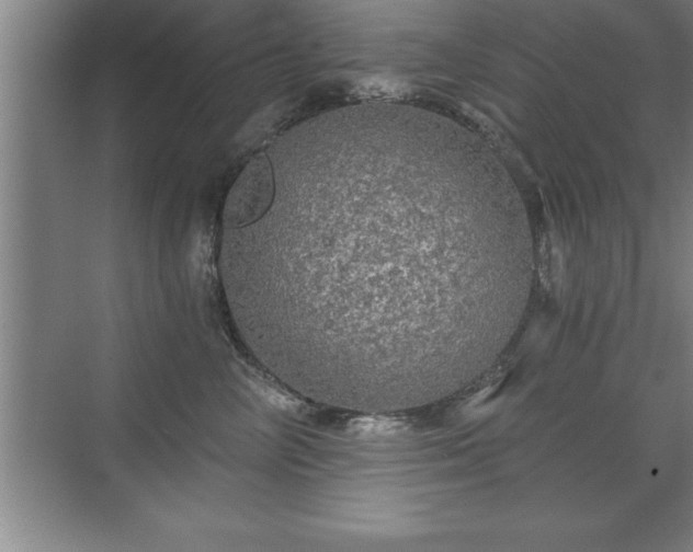 X0000071330714200606301600