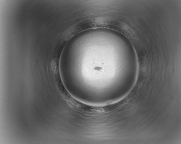 X0000071330715200606301600