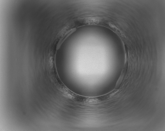 X0000071330716200606301600