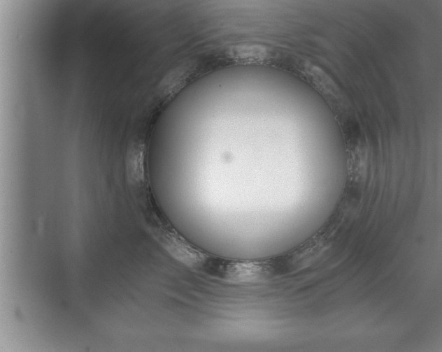 X0000071330717200606301600