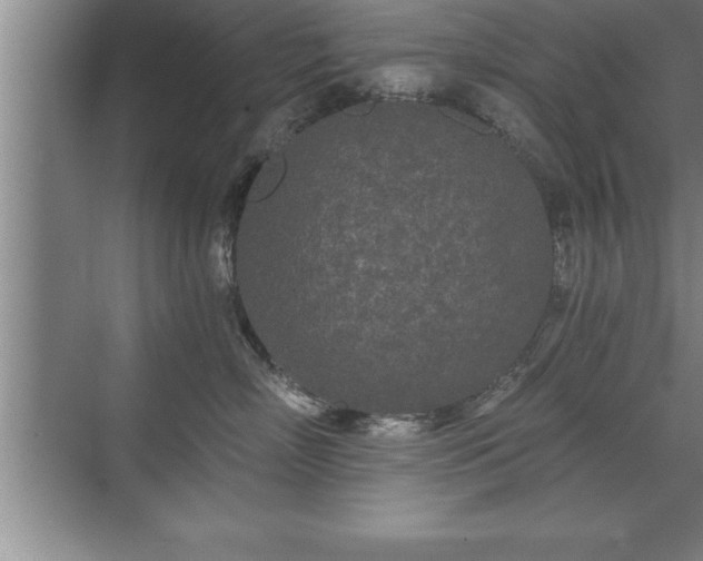 X0000071330718200606301600