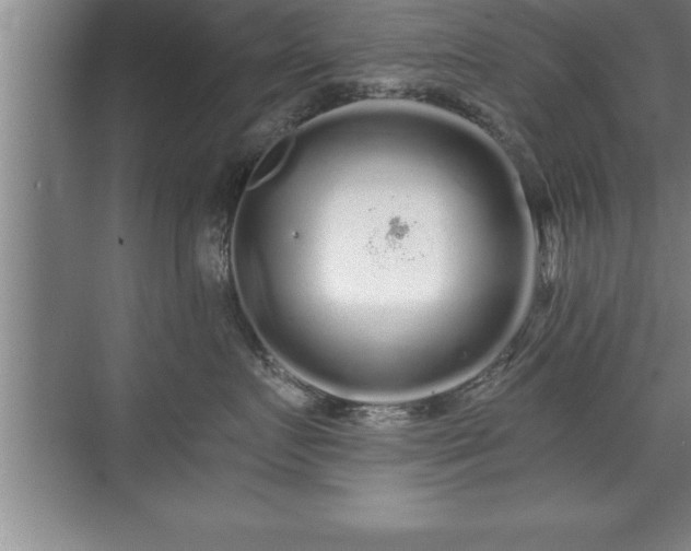 X0000071330719200606301600