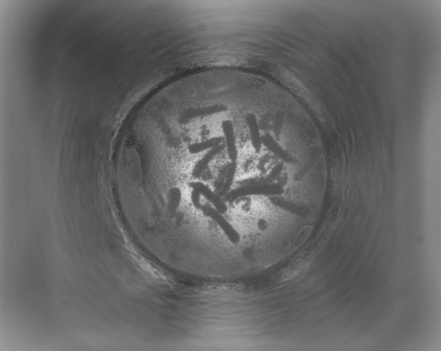 X0000071330721200606301600