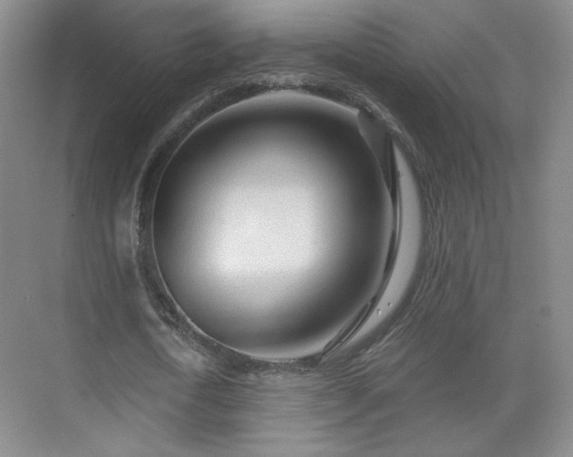 X0000071330722200606301600