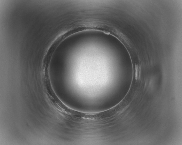 X0000071330723200606301600