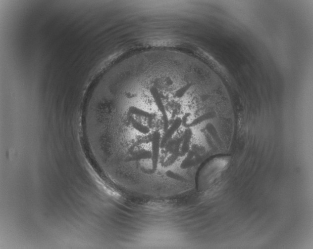 X0000071330725200606301600