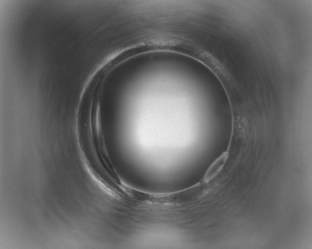 X0000071330726200606301600