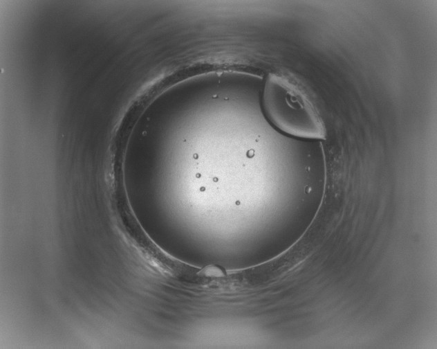 X0000071330727200606301600