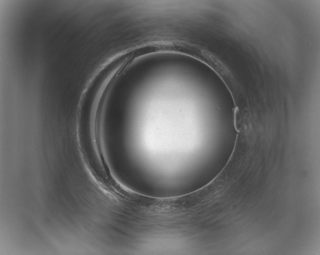 X0000071330728200606301600