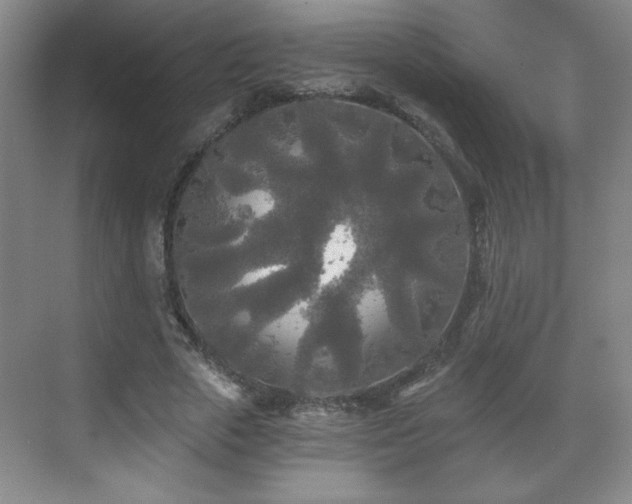 X0000071330729200606301600