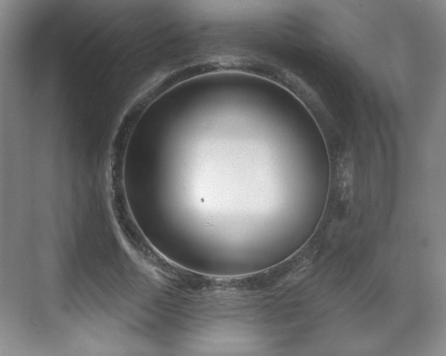 X0000071330730200606301600