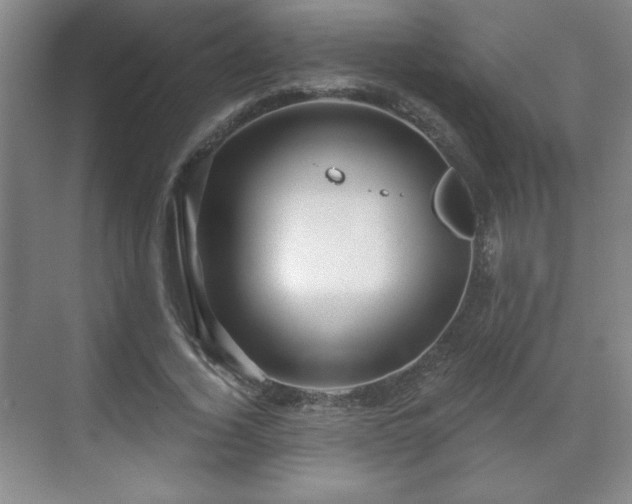 X0000071330732200606301600