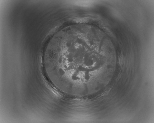 X0000071330733200606301600