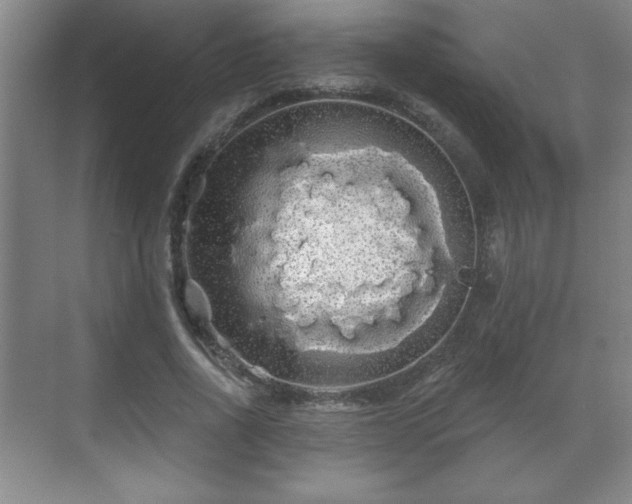 X0000071330734200606301600