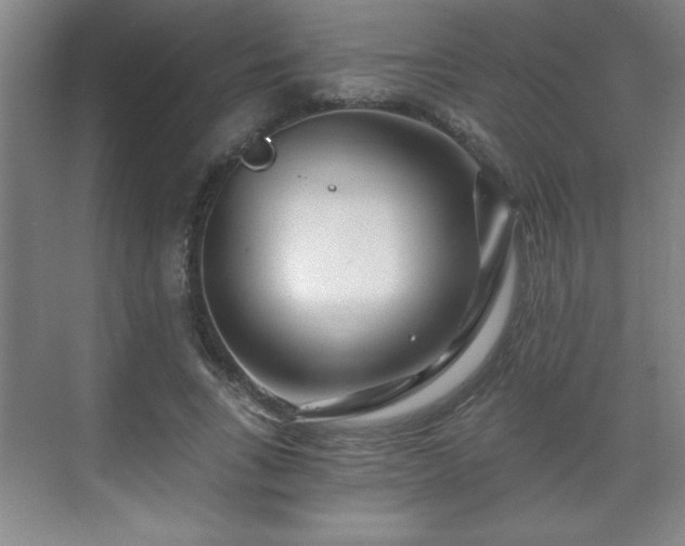 X0000071330735200606301600