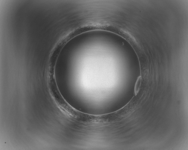 X0000071330736200606301600