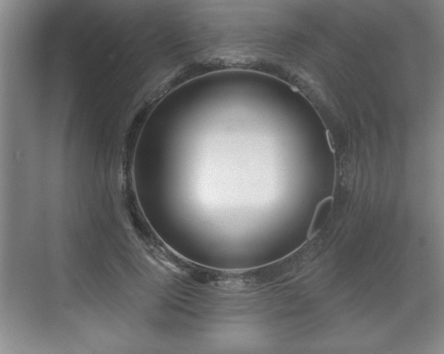 X0000071330740200606301600