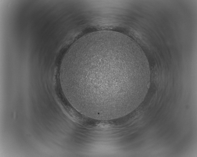 X0000071330742200606301600