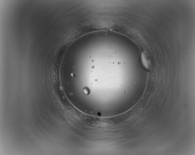 X0000071330743200606301600