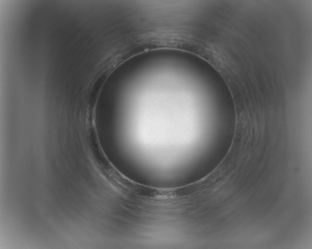 X0000071330744200606301600