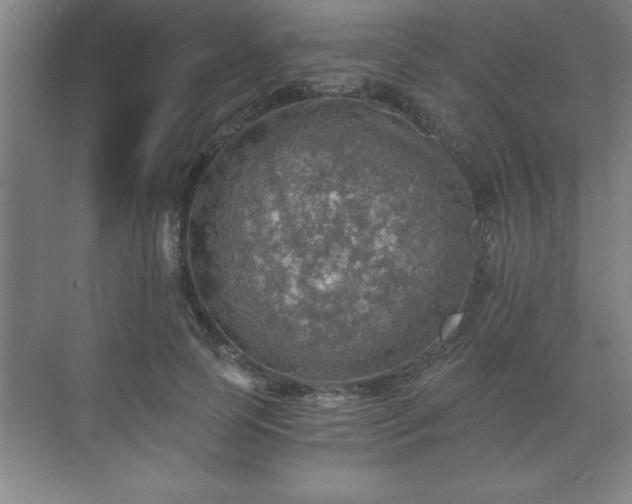 X0000071330745200606301600