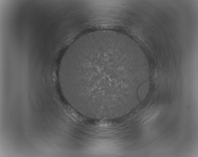 X0000071330746200606301600